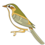 飯能生コン工業