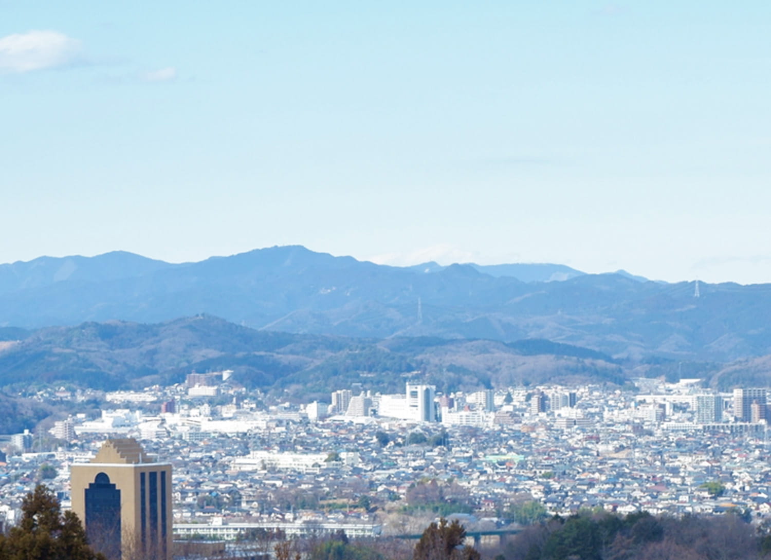 飯能生コン工業_配給エリア